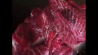 3d, ass to mouth, balls, bitch, bizarre, car, cartoon, fuck, hentai, monster