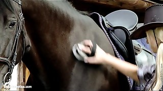 erotic, kissing, lesbian, licking, pussy, sex