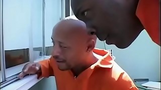 bbc, bbw, fuck, interracial, pawg, prison, rough sex, thick