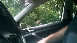 amateur, babe, blowjob, brunette, car, couple, fast, friend, girlfriend, hardcore