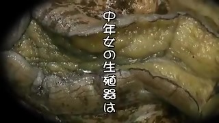 chinese, stepdaughter, japanese, mom, stepson