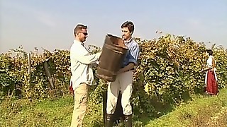 anal, babe, car, caress, cougar, erotic, european, fuck, gangbang, granny